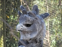 Kids_DZoo_WarmDays (34)